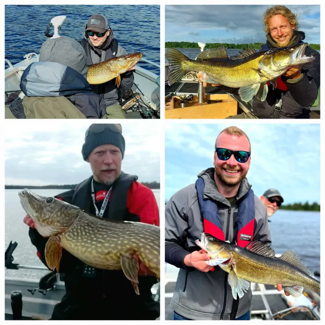 https://catchaguide.com/assets/guides/1708343544_JTz1u9UAYs_image_0-predator-fishing-whole-day-approx-8-hours-in-lmhult-lmhult-sweden-930-660.webp