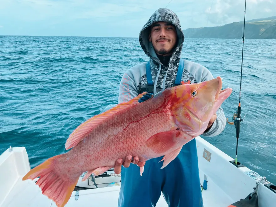Red Tuna  Habitat Sportfishing from Azores, Portugal - Pocket