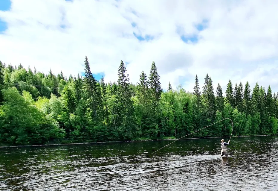 Try out Fly fishing in flowing river