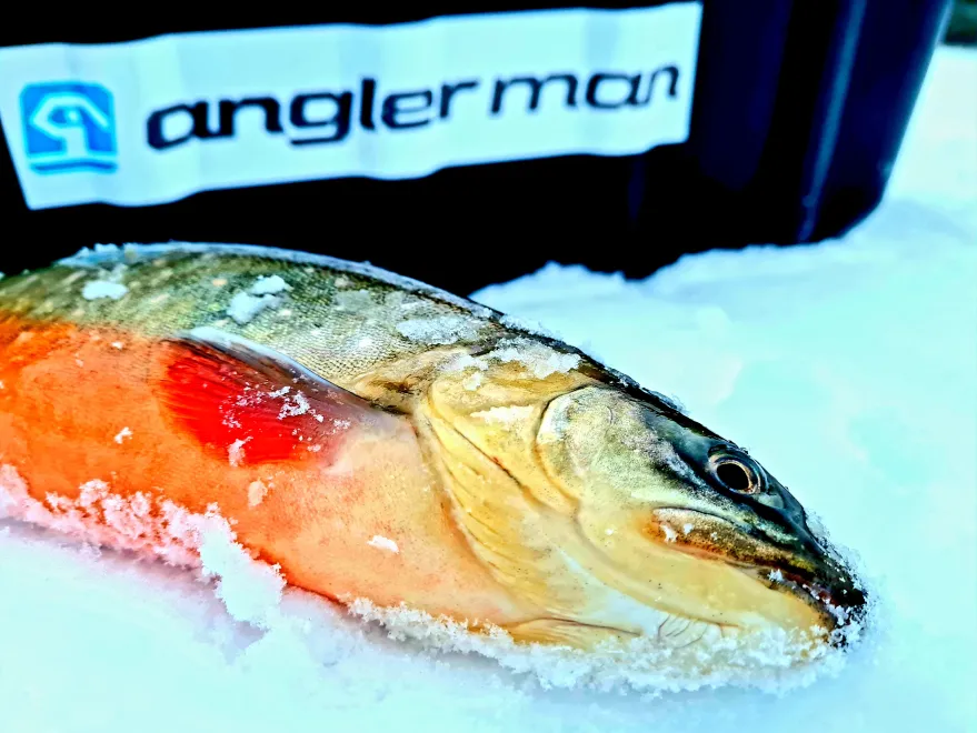 Ice fishing, The hunt of the Arctic char