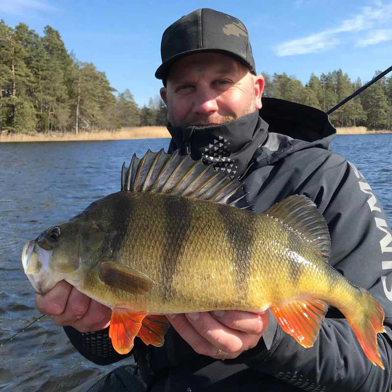 Winter Perch Fishing - From the Shore with Finesse Rigs - Catch A Guide